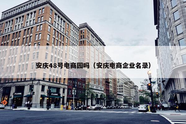安庆48号电商园吗（安庆电商企业名录）