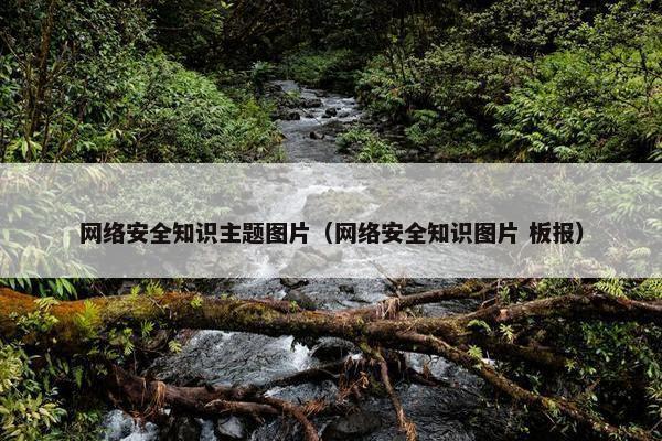 网络安全知识主题图片（网络安全知识图片 板报）