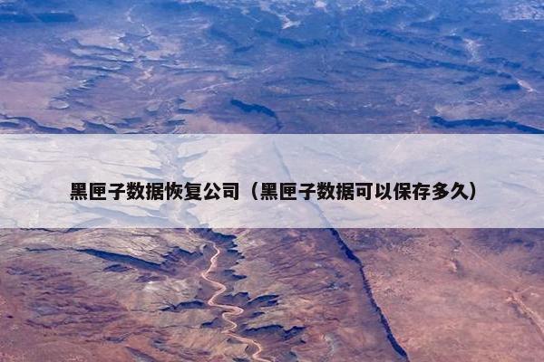 黑匣子数据恢复公司（黑匣子数据可以保存多久）