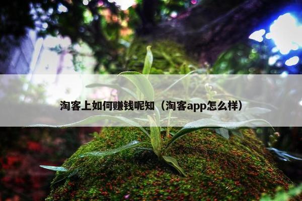 淘客上如何赚钱呢知（淘客app怎么样）