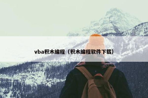 vba积木编程（积木编程软件下载）