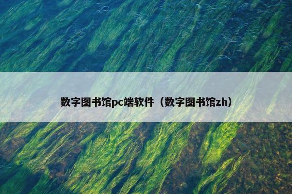 数字图书馆pc端软件（数字图书馆zh）