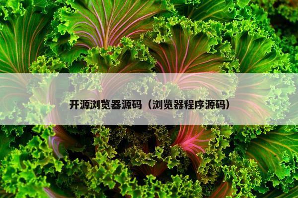 开源浏览器源码（浏览器程序源码）