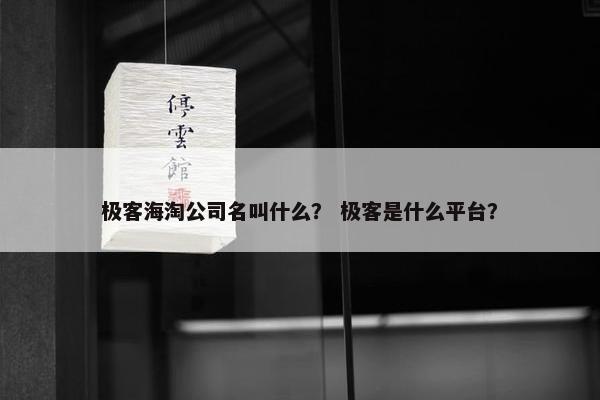 极客海淘公司名叫什么？ 极客是什么平台？