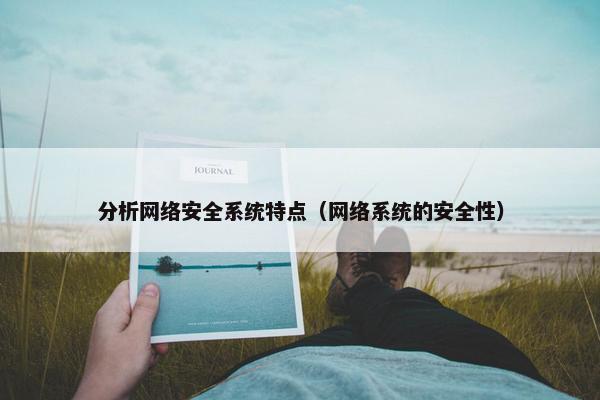 分析网络安全系统特点（网络系统的安全性）