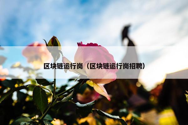 区块链运行岗（区块链运行岗招聘）