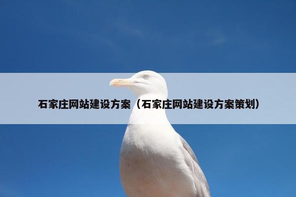 石家庄网站建设方案（石家庄网站建设方案策划）