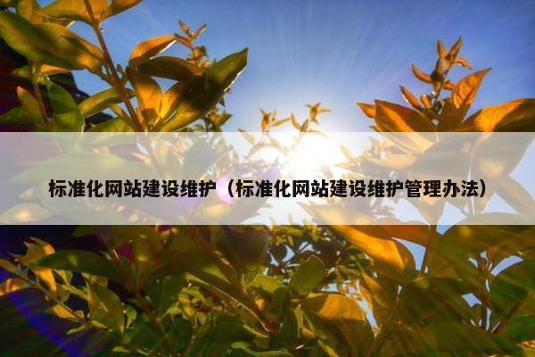 标准化网站建设维护（标准化网站建设维护管理办法）