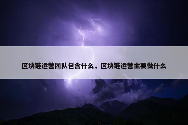 区块链运营团队包含什么，区块链运营主要做什么
