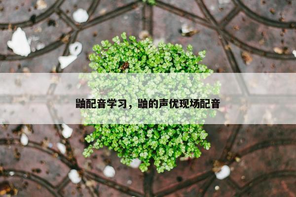 鼬配音学习，鼬的声优现场配音