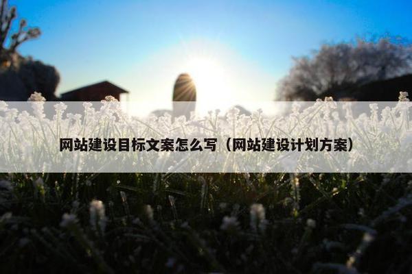 网站建设目标文案怎么写（网站建设计划方案）