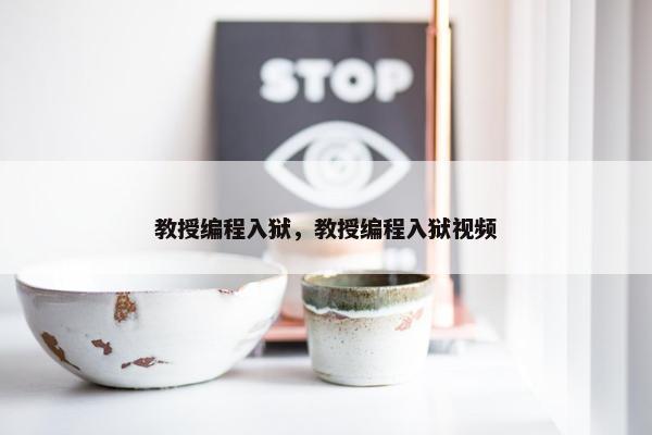 教授编程入狱，教授编程入狱视频