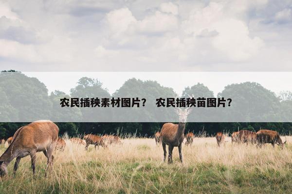 农民插秧素材图片？ 农民插秧苗图片？