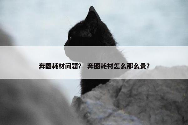 奔图耗材问题？ 奔图耗材怎么那么贵？