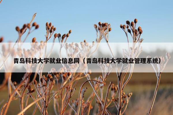 青岛科技大学就业信息网（青岛科技大学就业管理系统）