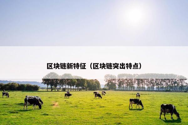 区块链新特征（区块链突出特点）
