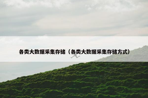 各类大数据采集存储（各类大数据采集存储方式）