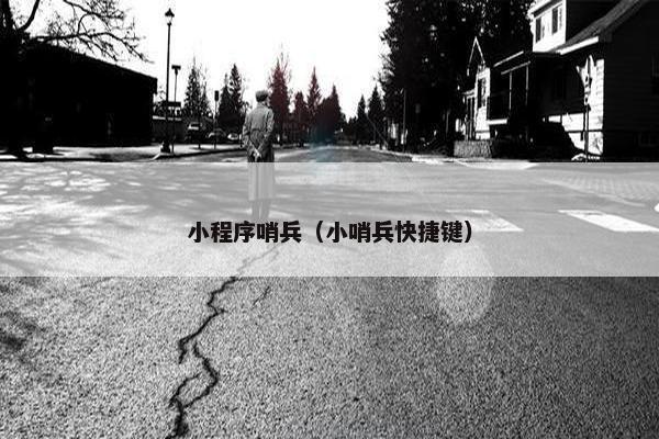 小程序哨兵（小哨兵快捷键）