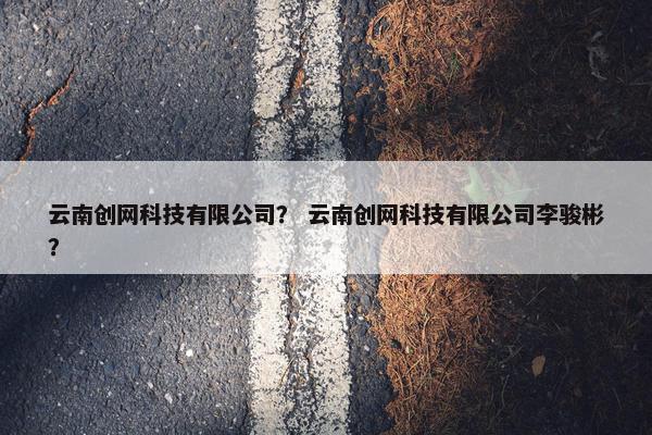 云南创网科技有限公司？ 云南创网科技有限公司李骏彬？