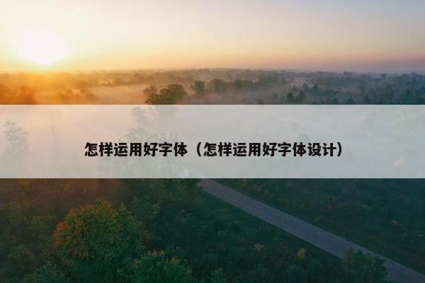 怎样运用好字体（怎样运用好字体设计）