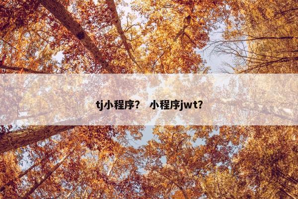 tj小程序？ 小程序jwt？