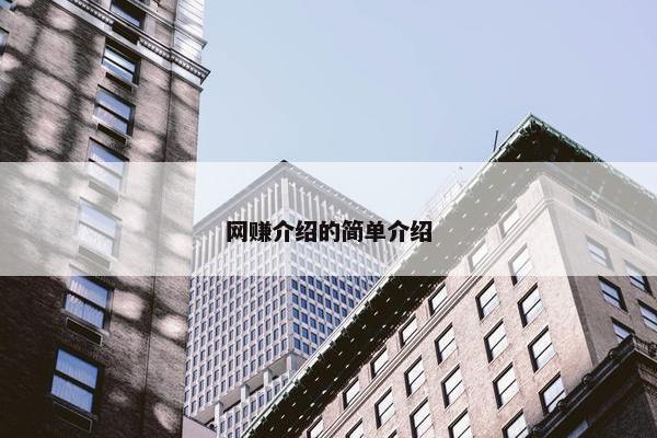 网赚介绍的简单介绍