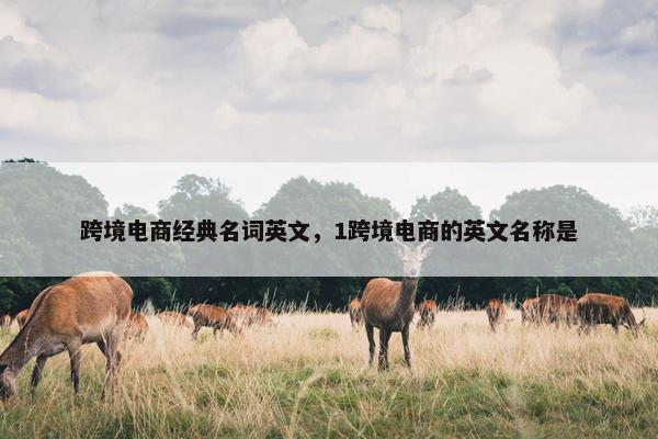 跨境电商经典名词英文，1跨境电商的英文名称是