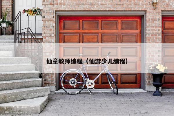 仙童教师编程（仙游少儿编程）
