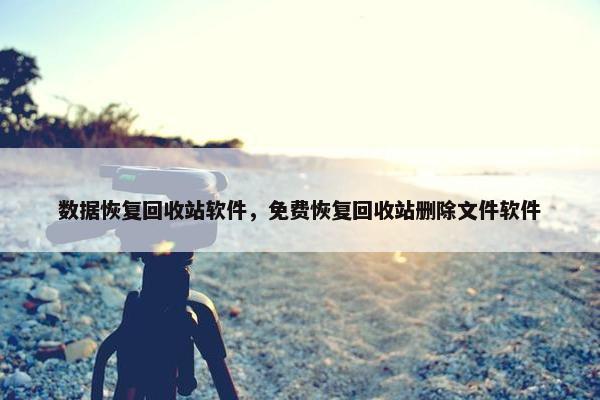 数据恢复回收站软件，免费恢复回收站删除文件软件