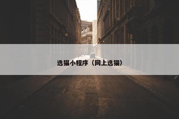 选猫小程序（网上选猫）