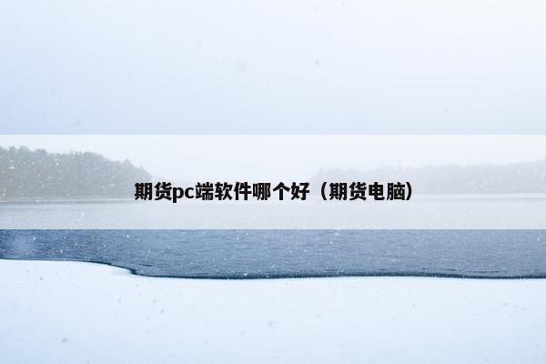 期货pc端软件哪个好（期货电脑）