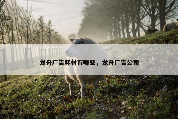 龙舟广告耗材有哪些，龙舟广告公司