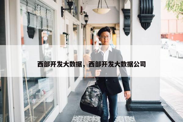 西部开发大数据，西部开发大数据公司