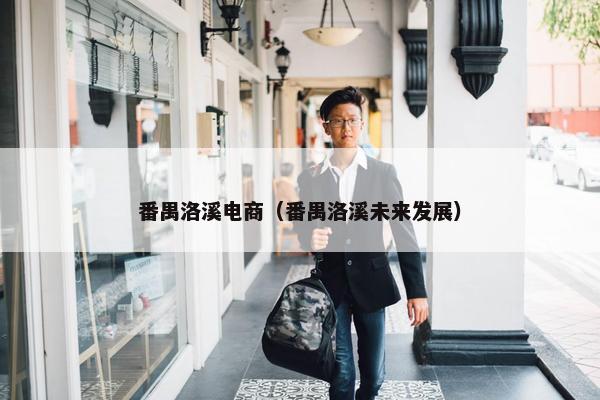 番禺洛溪电商（番禺洛溪未来发展）