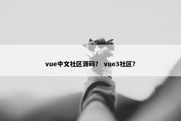 vue中文社区源码？ vue3社区？