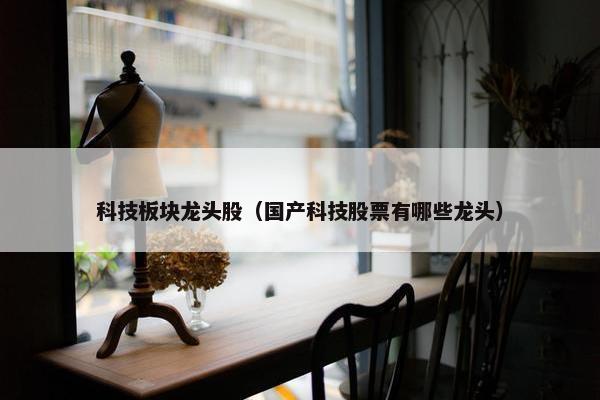 科技板块龙头股（国产科技股票有哪些龙头）