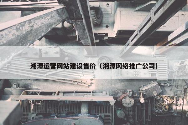湘潭运营网站建设售价（湘潭网络推广公司）