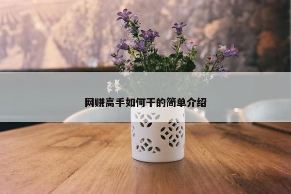 网赚高手如何干的简单介绍