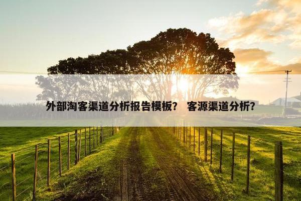 外部淘客渠道分析报告模板？ 客源渠道分析？