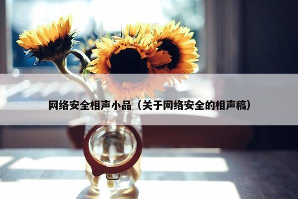 网络安全相声小品（关于网络安全的相声稿）