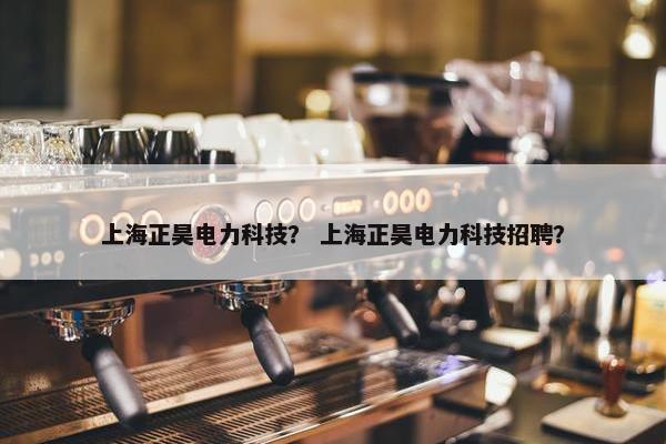 上海正昊电力科技？ 上海正昊电力科技招聘？
