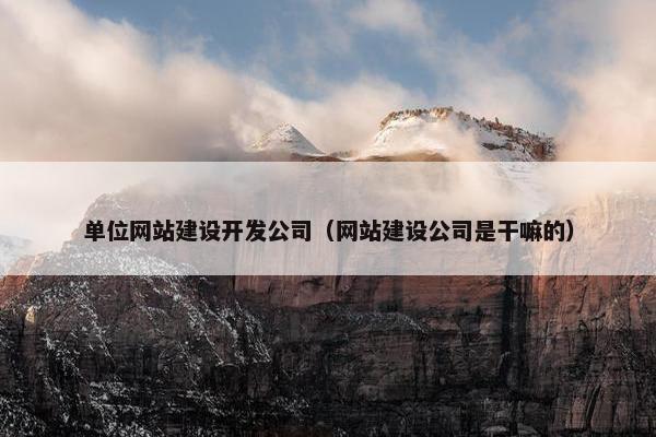单位网站建设开发公司（网站建设公司是干嘛的）