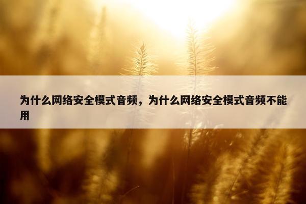 为什么网络安全模式音频，为什么网络安全模式音频不能用