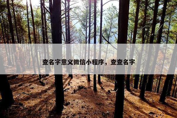 查名字意义微信小程序，查查名字