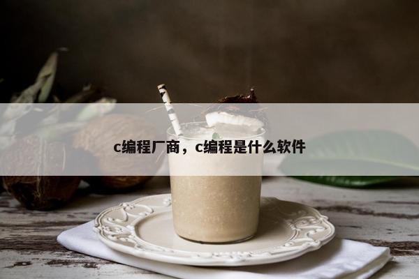 c编程厂商，c编程是什么软件