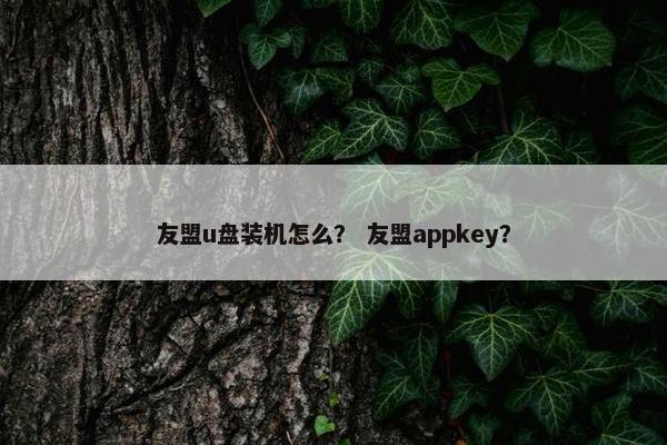 友盟u盘装机怎么？ 友盟appkey？