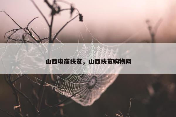 山西电商扶贫，山西扶贫购物网