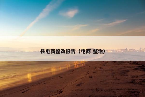 县电商整改报告（电商 整治）
