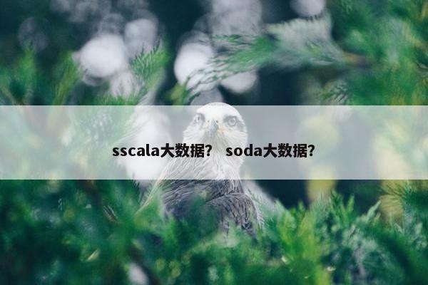 sscala大数据？ soda大数据？