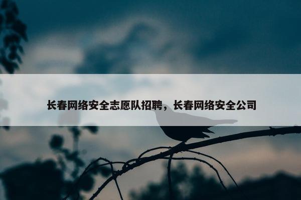 长春网络安全志愿队招聘，长春网络安全公司
